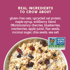 Wildberry Protein Oats, 32oz