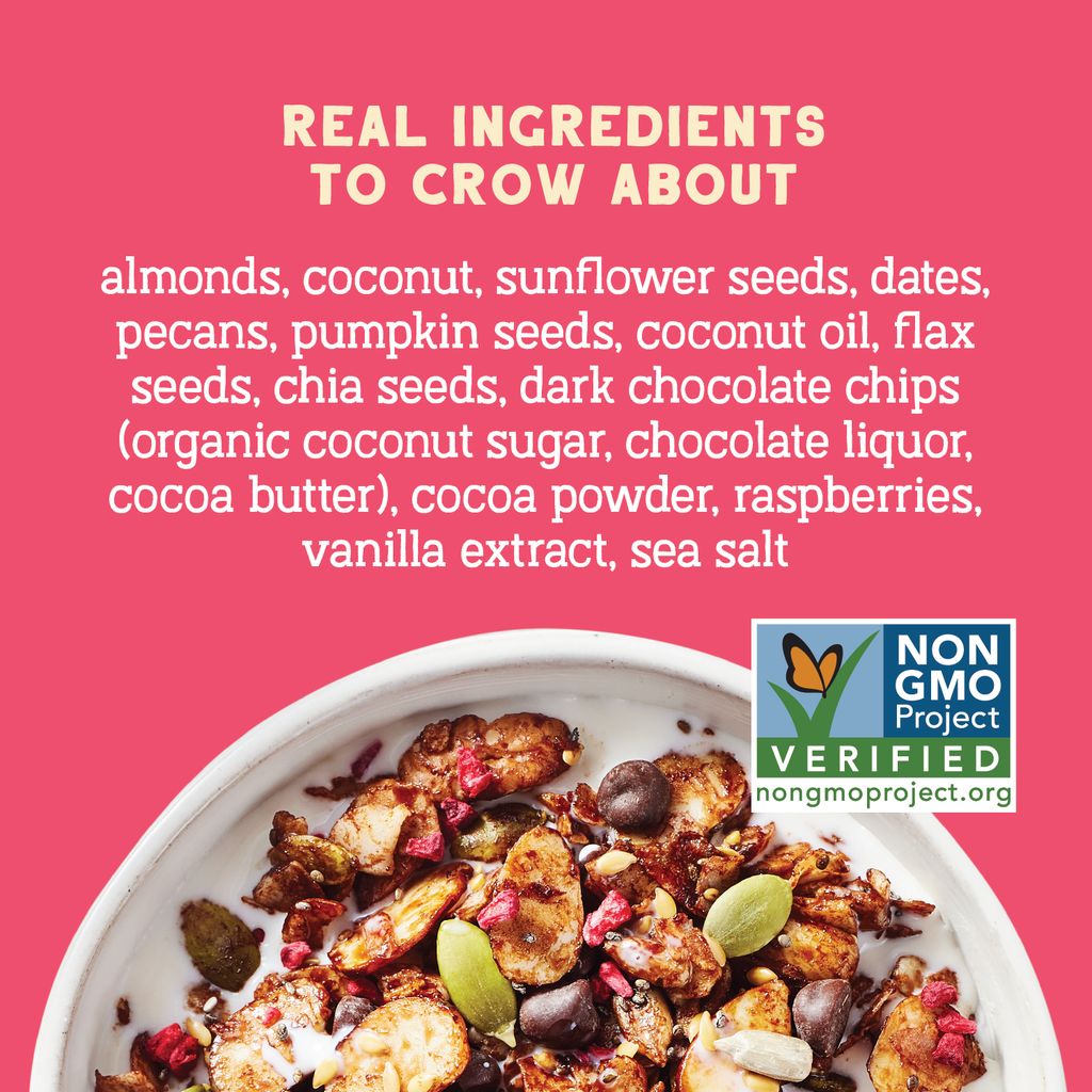 Day Dream Chocolate Raspberry Grain-Free Granola, 8oz