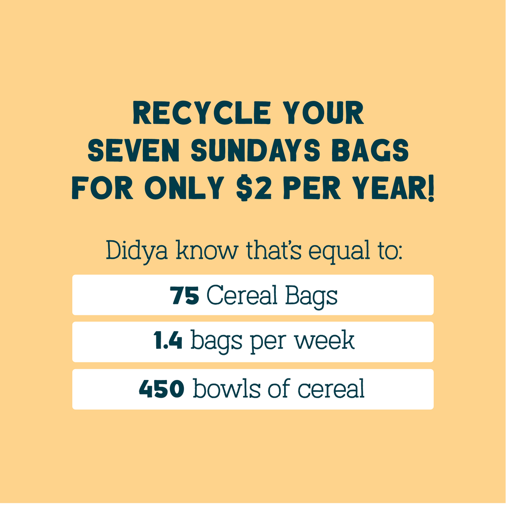 Recycling Bag